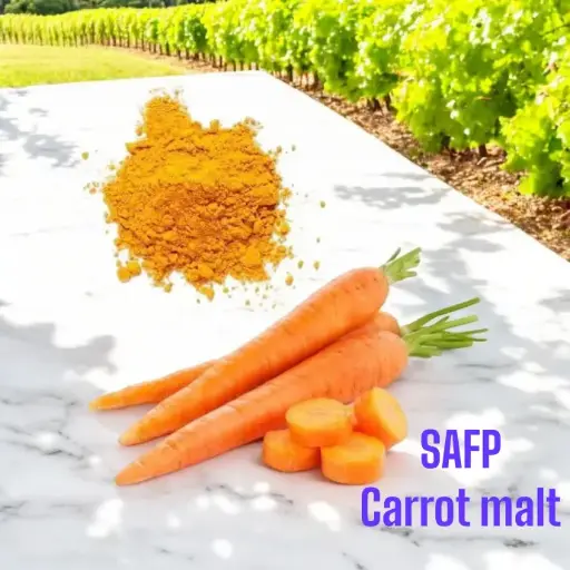 SAFP Carrot malt (200g)